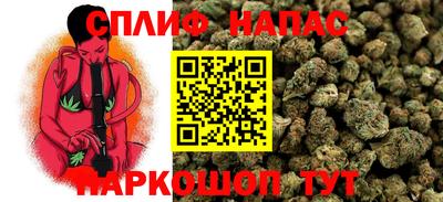 СК Будённовск