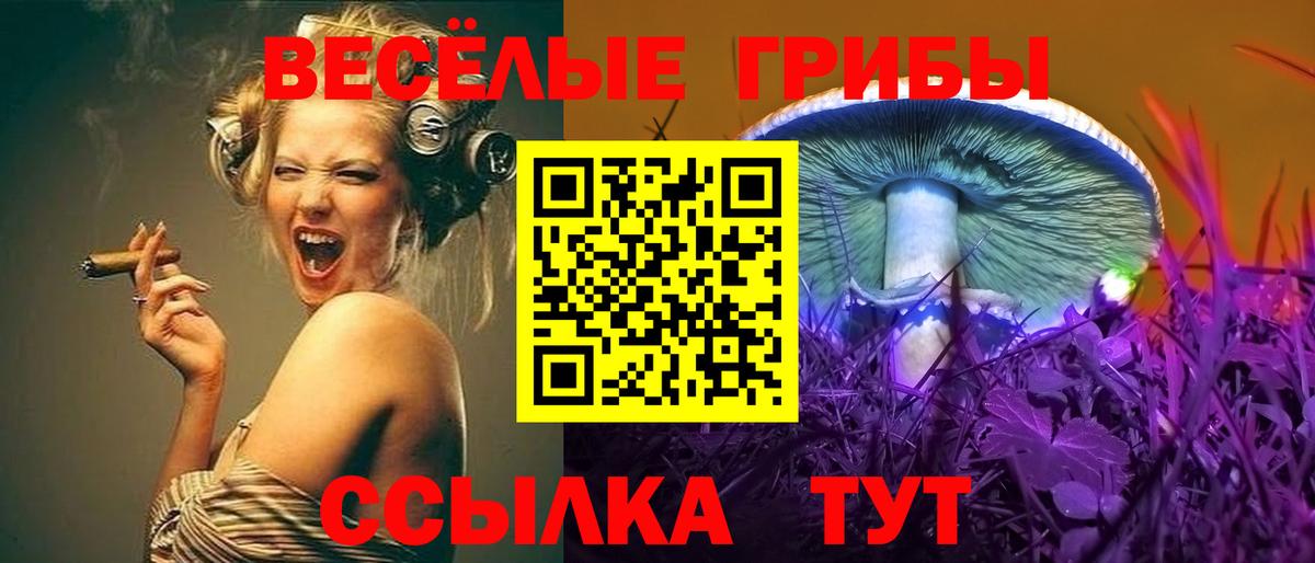 Псилоцибиновые грибы MAGIC MUSHROOMS Орёл